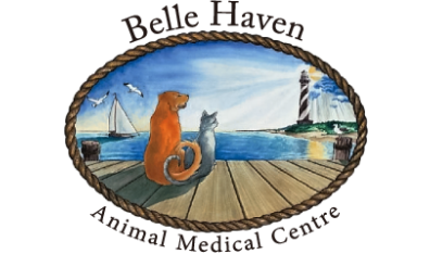 Belle Haven Animal Medical Centre-HeaderLogo